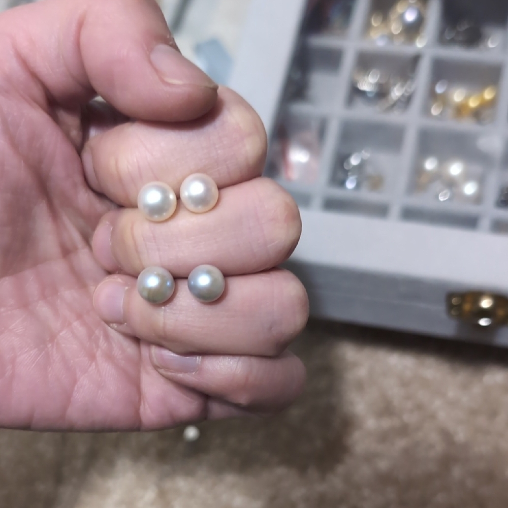 Grey  Akoya Pearl Stud Earrings